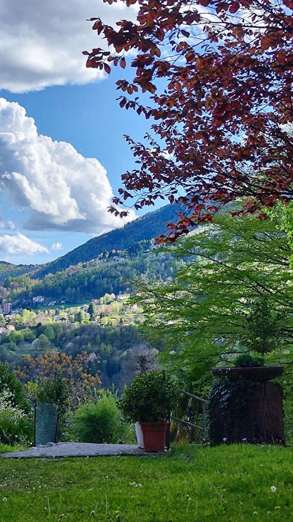 Villa Alma, Lake Como Bed&Breathe San Fedele Intelvi Eksteriør billede